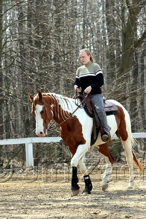 IMG_1006web.jpg