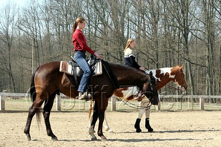 IMG_1011web.jpg