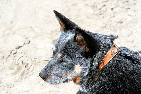 IMG_1028web.jpg