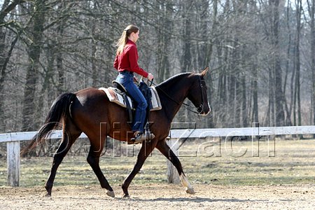 IMG_1043web.jpg