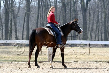 IMG_1044web.jpg
