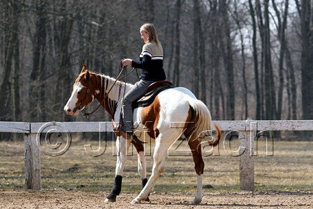 IMG_1045web.jpg