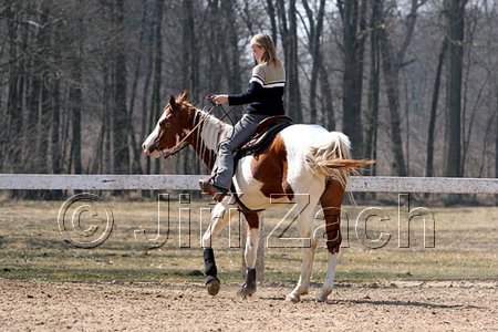 IMG_1049web.jpg
