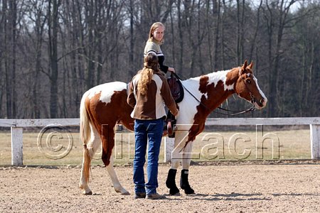IMG_1052web.jpg