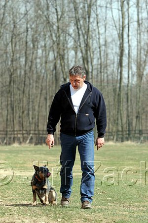 IMG_1058web.jpg