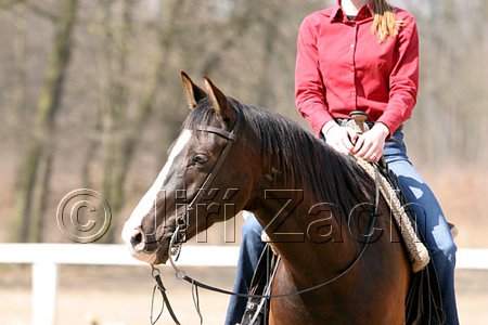 IMG_1070web.jpg