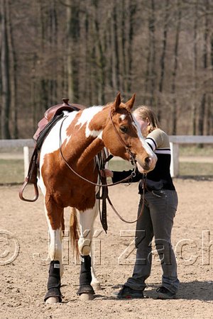 IMG_1073web.jpg
