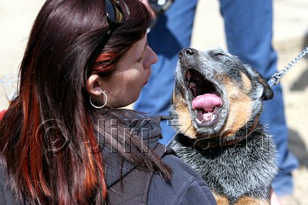 IMG_1083web.jpg