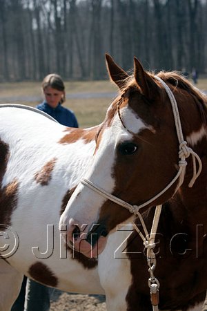 IMG_1116web.jpg