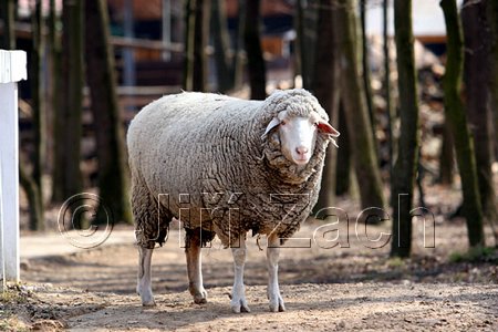 IMG_1117web.jpg