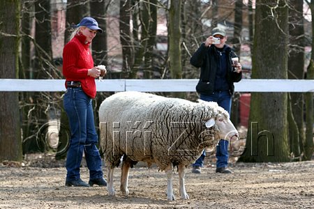 IMG_1121web.jpg