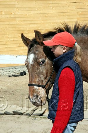 IMG_1129web.jpg