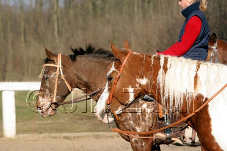 IMG_1420web.jpg