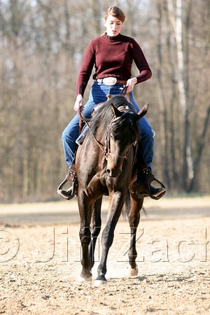 IMG_1422web.jpg