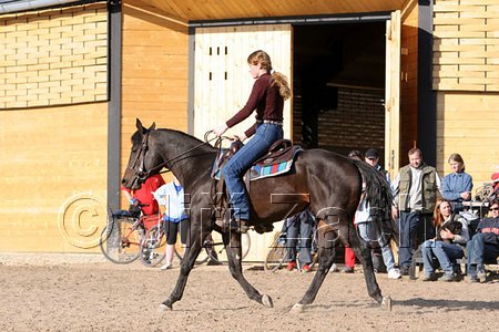 IMG_1426web.jpg