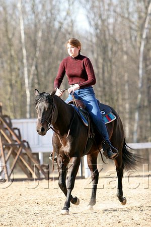 IMG_1429web.jpg