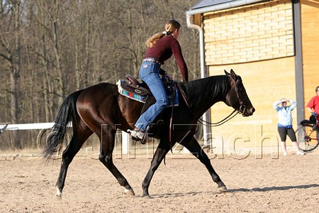 IMG_1434web.jpg