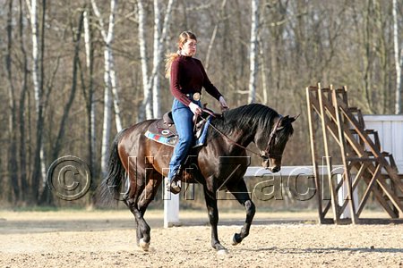 IMG_1438web.jpg