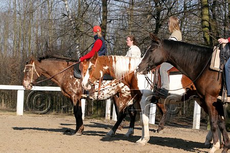 IMG_1446web.jpg