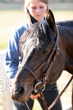 IMG_1448web.jpg