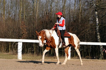 IMG_1450web.jpg