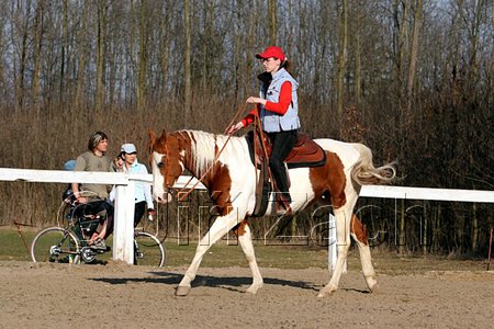 IMG_1451web.jpg