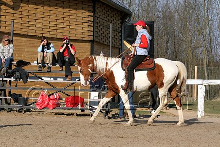 IMG_1453web.jpg