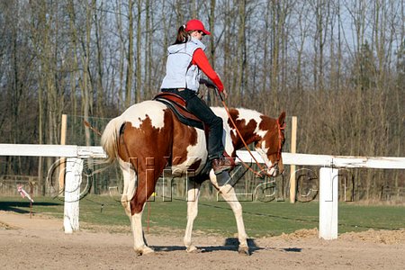 IMG_1455web.jpg