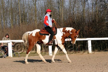 IMG_1462web.jpg