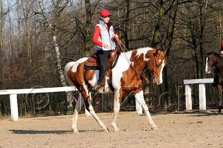 IMG_1463web.jpg