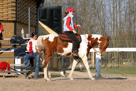 IMG_1466web.jpg