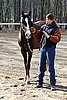 IMG_0673web.jpg