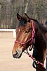 IMG_0677web.jpg