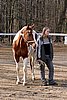 IMG_0679web.jpg