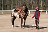 IMG_0682web.jpg