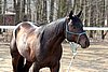 IMG_0685web.jpg