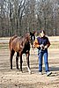 IMG_0687web.jpg
