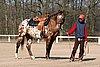 IMG_0690web.jpg