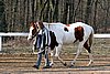 IMG_0697web.jpg