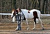IMG_0698web.jpg