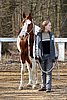 IMG_0701web.jpg