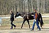 IMG_0702web.jpg