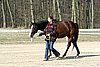 IMG_0708web.jpg