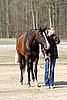 IMG_0710web.jpg