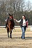 IMG_0712web.jpg