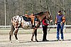 IMG_0717web.jpg