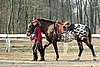 IMG_0720web.jpg