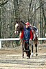 IMG_0722web.jpg