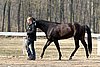 IMG_0724web.jpg