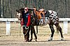IMG_0730web.jpg
